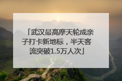 武汉最高摩天轮成亲子打卡新地标，半天客流突破1.5万人次